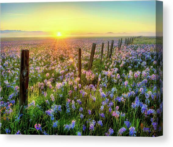 Morning on the Camas Prairie Spring Awakening Canvas Art Print by Leland D Howard