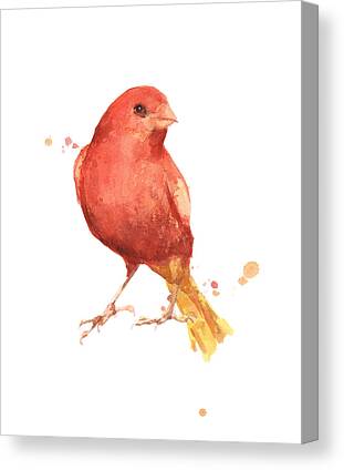 Canary Canvas Prints for Sale