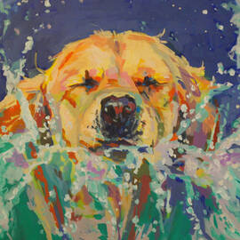 Cannonball by Kimberly Santini