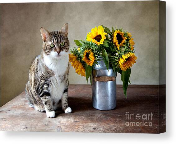Cat and Sunflowers Canvas Art Print by Nailia Schwarz
