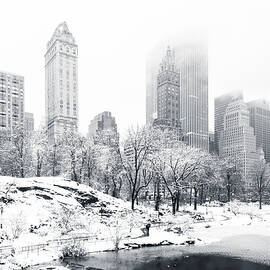 Central Park by Mihai Andritoiu