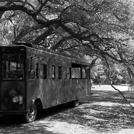 Charleston Tea Plantation Trolley Black and White by Melanie Snipes