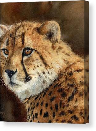 Cheetahs Canvas Prints for Sale