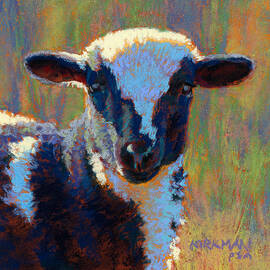 Cici by Rita Kirkman