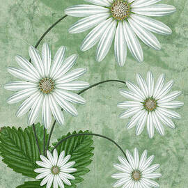 Cinco by John Edwards