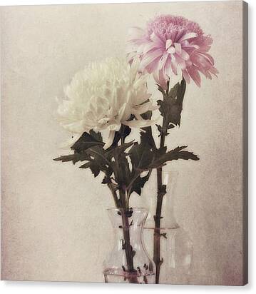 Closely Canvas Print