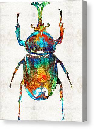 Beetle Canvas Prints for Sale