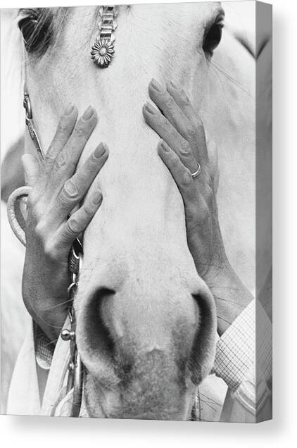 Conchita Cintron Holding The Head Of A Horse Canvas Art Print by Henry Clarke
