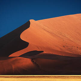 Curves In Color by Mathilde Guillemot