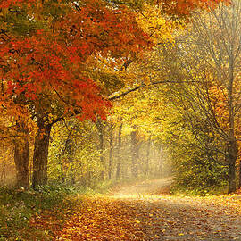 Dancing Leaves by Magda Bognar