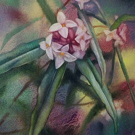 Daphne by Svetlana Orinko