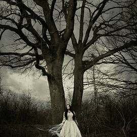 Dead tree by Cambion Art