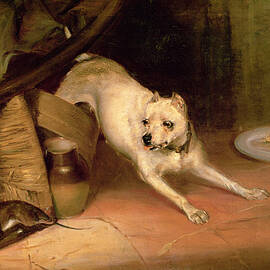 Dog Chasing A Rat Oil On Canvas by Briton Riviere