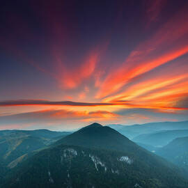 Eagle Eye by Evgeni Dinev