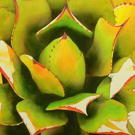 EMERGENCE by Robert Hooper