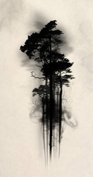 Enchanted Forest Poster