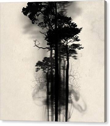 Enchanted Forest Canvas Print