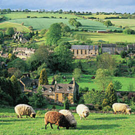 England, Gloucestershire,   Cotswolds by Peter Adams