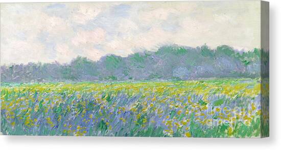 Field of Yellow Irises at Giverny Canvas Art Print by Claude Monet