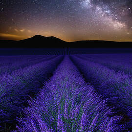 Fields of Eden by Jorge Maia