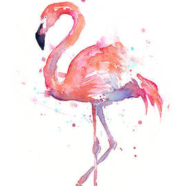 Flamingo Watercolor by Olga Shvartsur