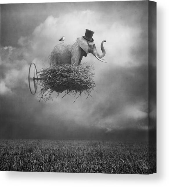 Fly Canvas Art Print by Beata Bieniak