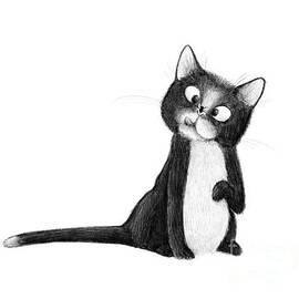 Fly on Cat by Michael Ciccotello