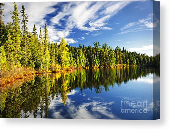 Forest reflecting in lake Canvas Art Print by Elena Elisseeva