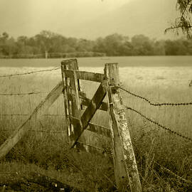 Forgotten Fields by Holly Kempe
