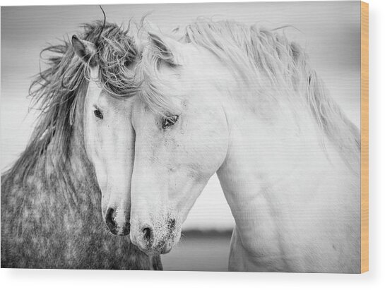 Friends V Wood Print