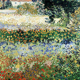 Garden in Bloom by Vincent Van Gogh