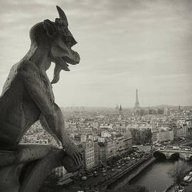 Gargoyle Of Notre Dame by Zeb Andrews