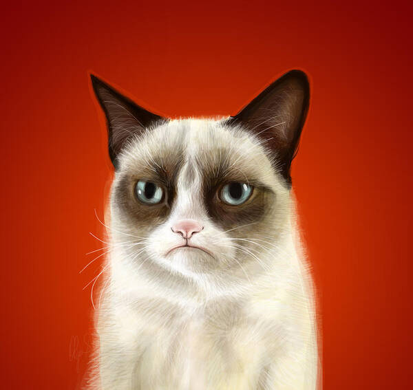 Grumpy Cat Poster