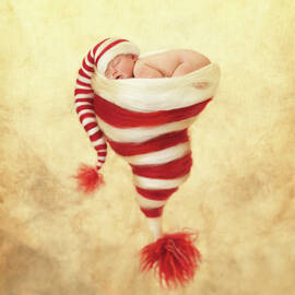 Happy Holidays by Anne Geddes