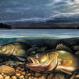 Harvest Moon Walleye 1 by JQ Licensing