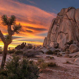 Hidden Valley Rock - Joshua Tree by Peter Tellone