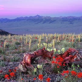 High Mountain Sunrise by Leland D Howard
