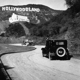 Hollywood Land by Mpi