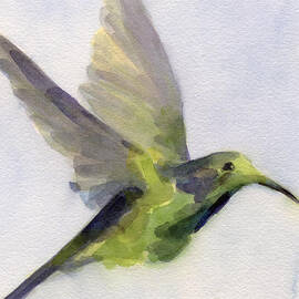 Hummingbird Watercolor Bird Painting by Beverly Brown