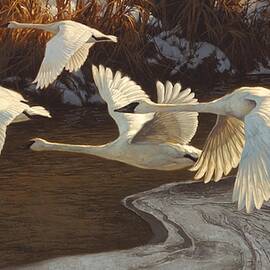 Icing Up by Greg Beecham