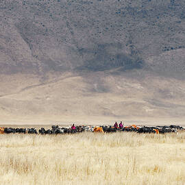 Incredible Maasai by Mathilde Guillemot