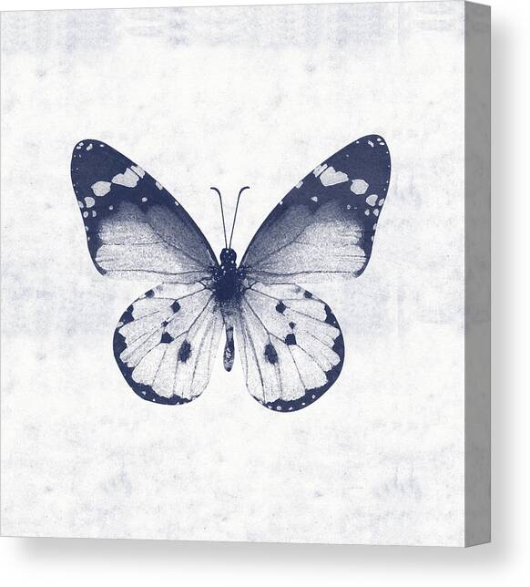 Indigo and White Butterfly 1- Art by Linda Woods Canvas Art Print by Linda Woods
