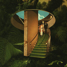 Into the wild by Fran Rodriguez