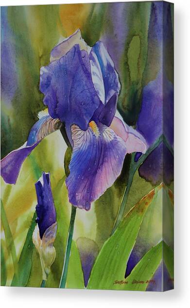 Iris I Canvas Art Print by Svetlana Orinko