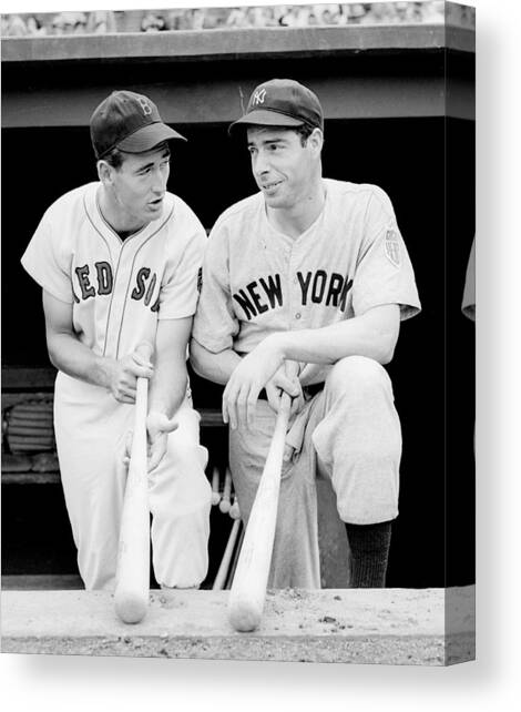 Joe DiMaggio and Ted Williams Canvas Art Print by Gianfranco Weiss