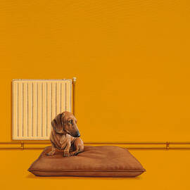 Jonas by Jasper Oostland