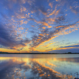 June morning by Veikko Suikkanen