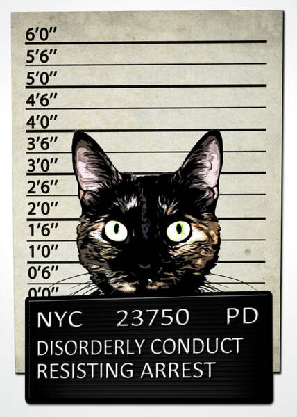 Kitty Mugshot Art Print