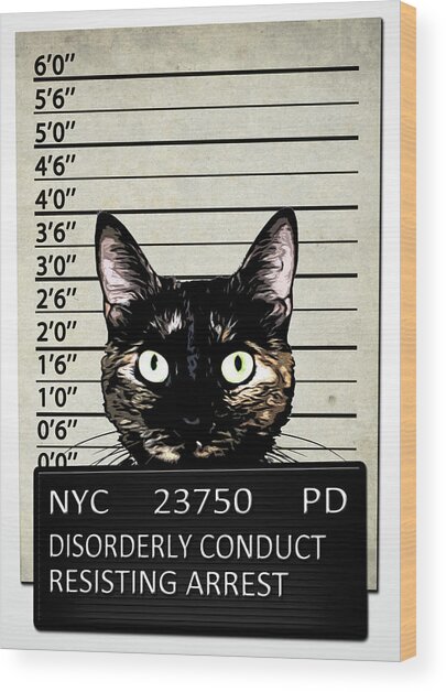 Kitty Mugshot Wood Print