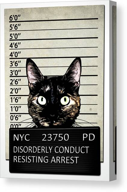 Kitty Mugshot Canvas Art Print by Nicklas Gustafsson